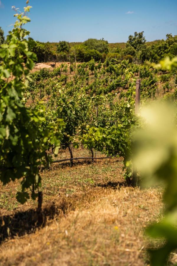 ארזח'ינה Locanda In Vigna מראה חיצוני תמונה