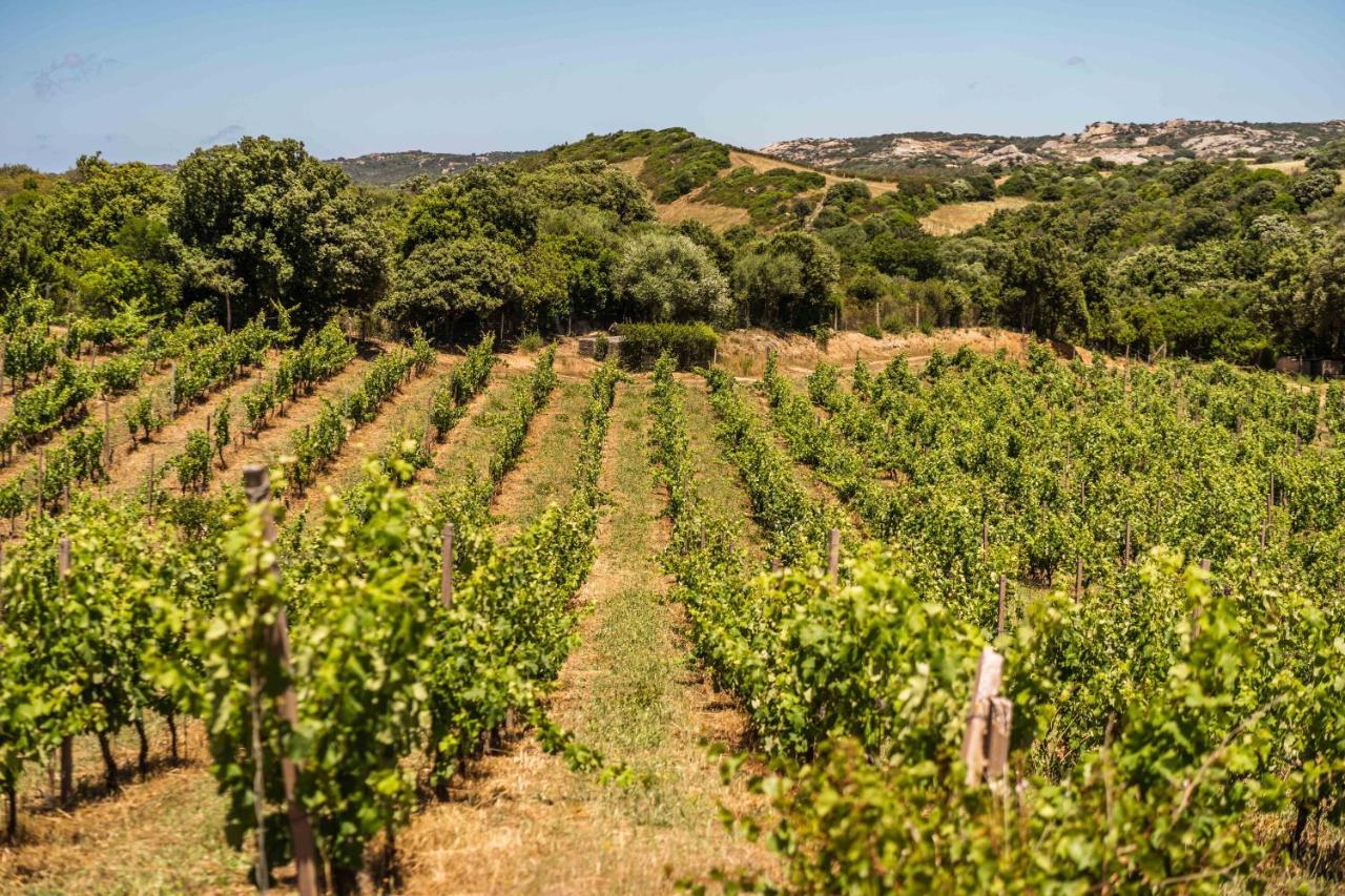 ארזח'ינה Locanda In Vigna מראה חיצוני תמונה